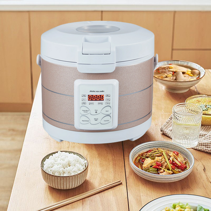 12-24V 220V หม้อหุงข้าว หม้อนึ - Home Cooking Heater บทวิจารณ์และราคา